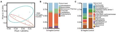 Multi-Omics Analysis After Vaginal Administration of Bacteroides fragilis in Chickens